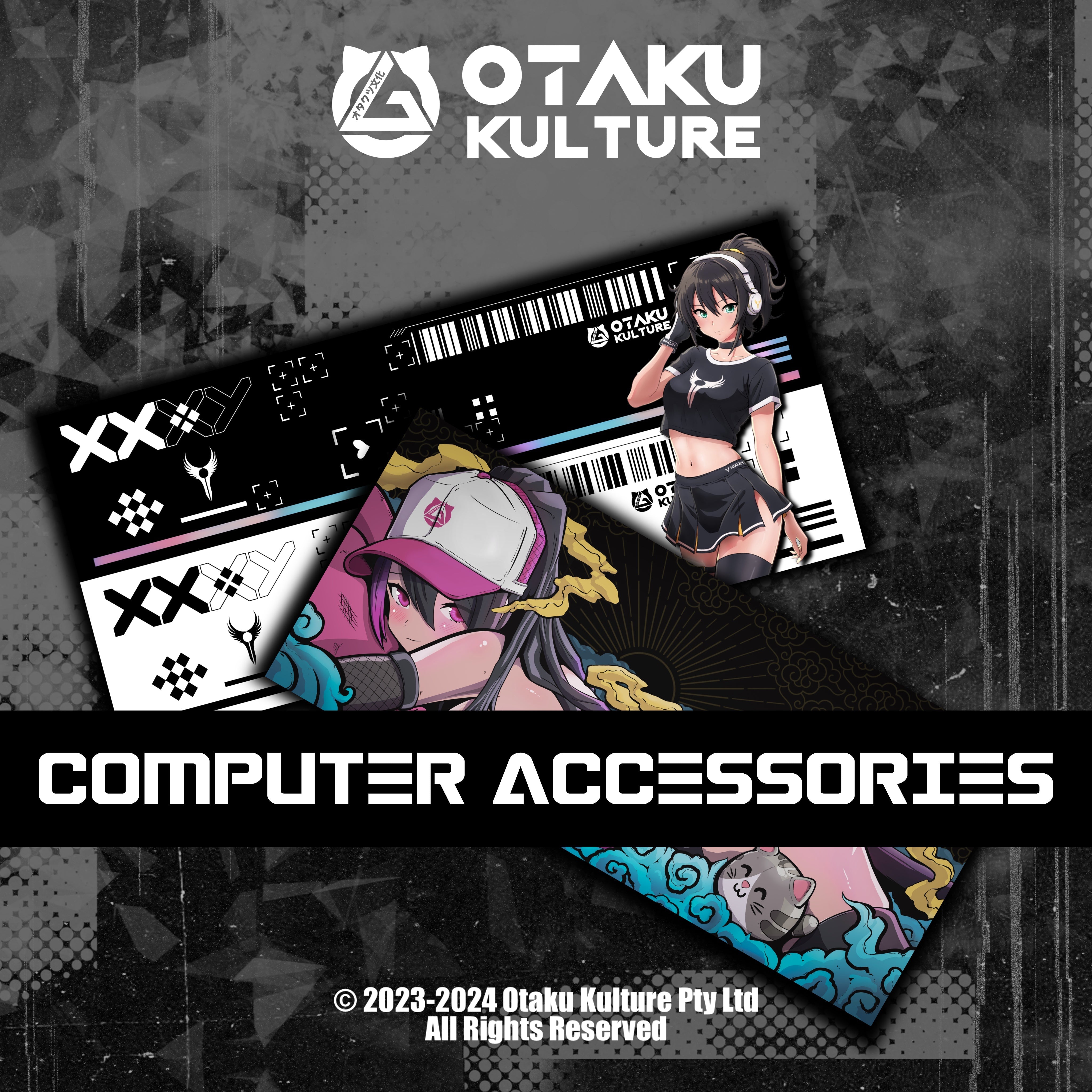 Computer Accessories