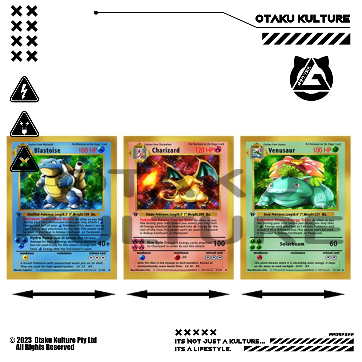 STARTER EVOLUTIONS POKEMON CARD 3D MOTION POSTER