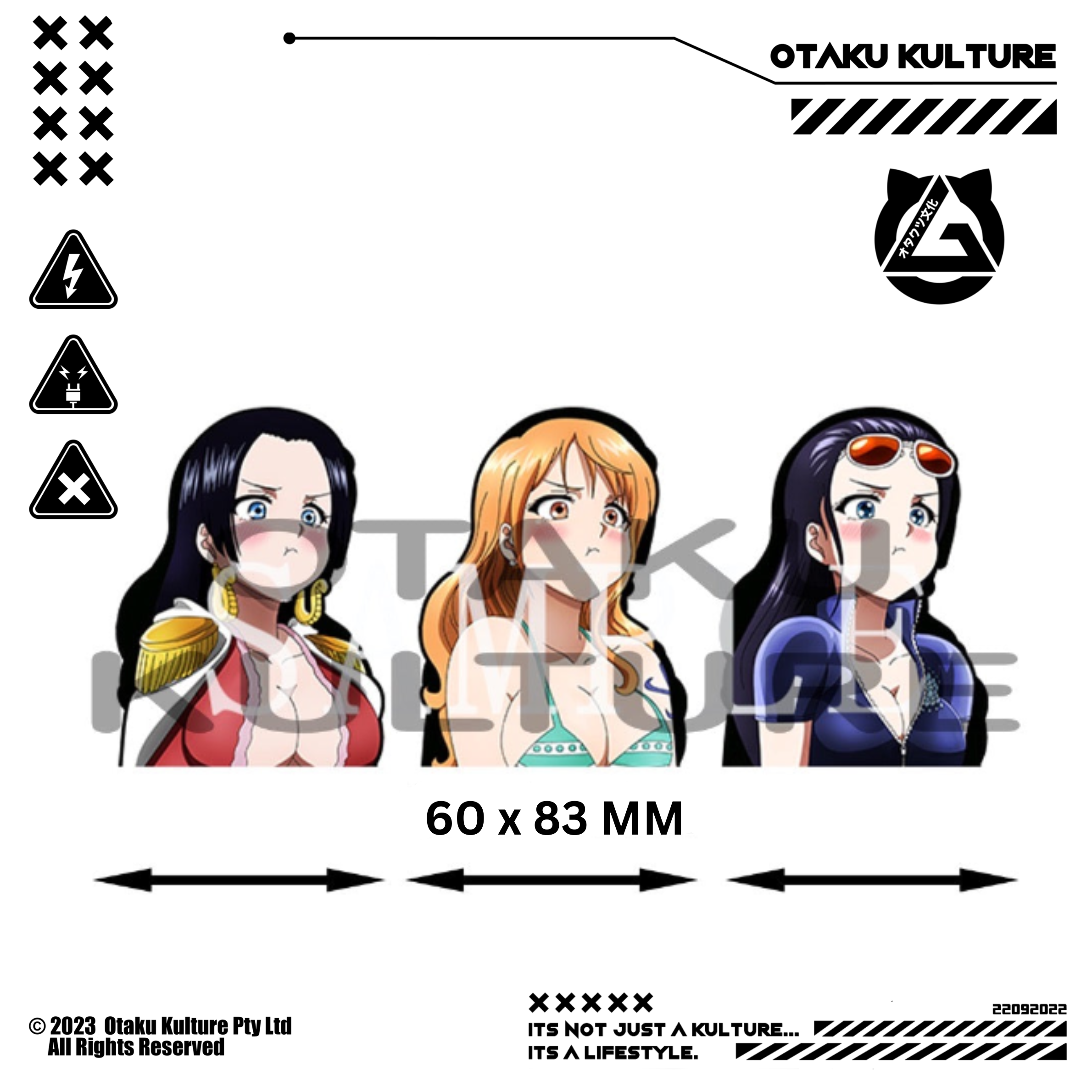 MINI NICO ROBIN/BOA HANCOCK/NAMI POUT 3D MOTION STICKER+