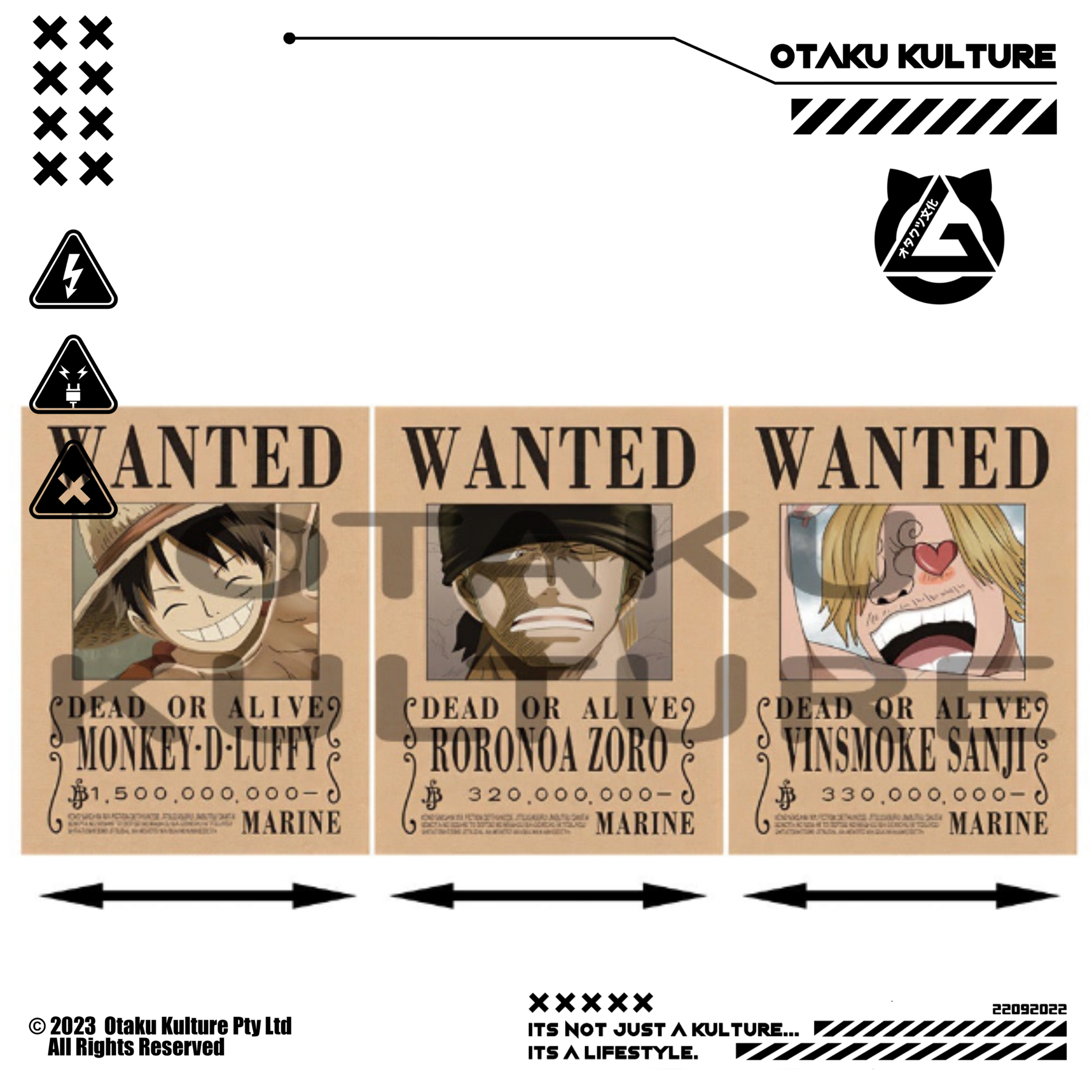 WANTED LUFFY/ZORO/SANJI 3D MOTION POSTER