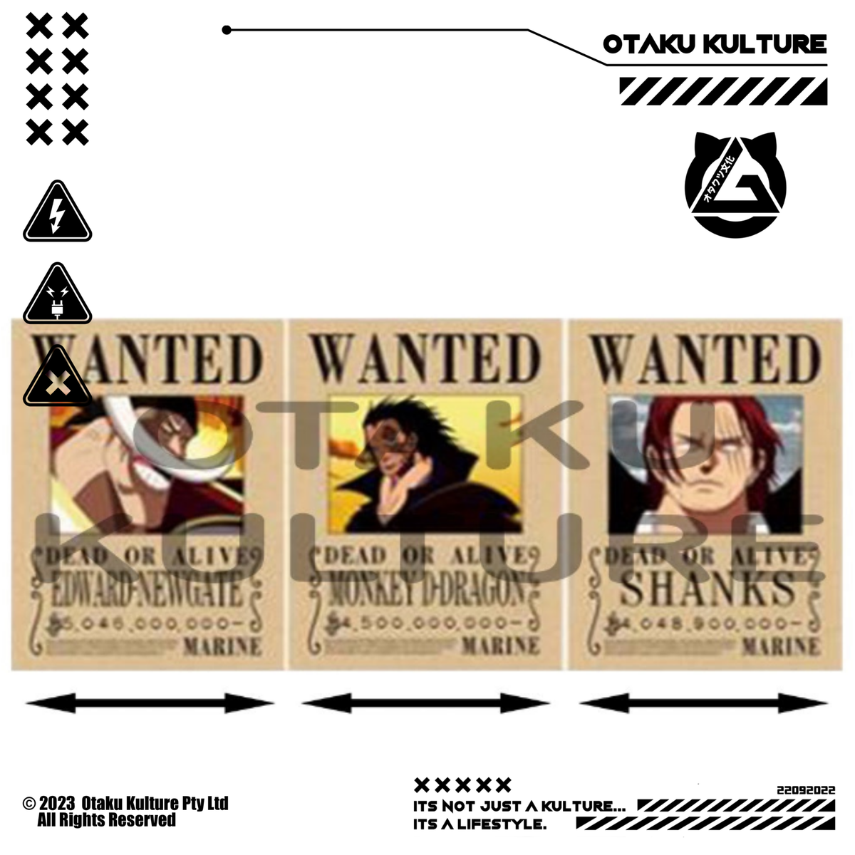 WANTED NEWGATE/DRAGON/SHANKS 3D MOTION POSTER