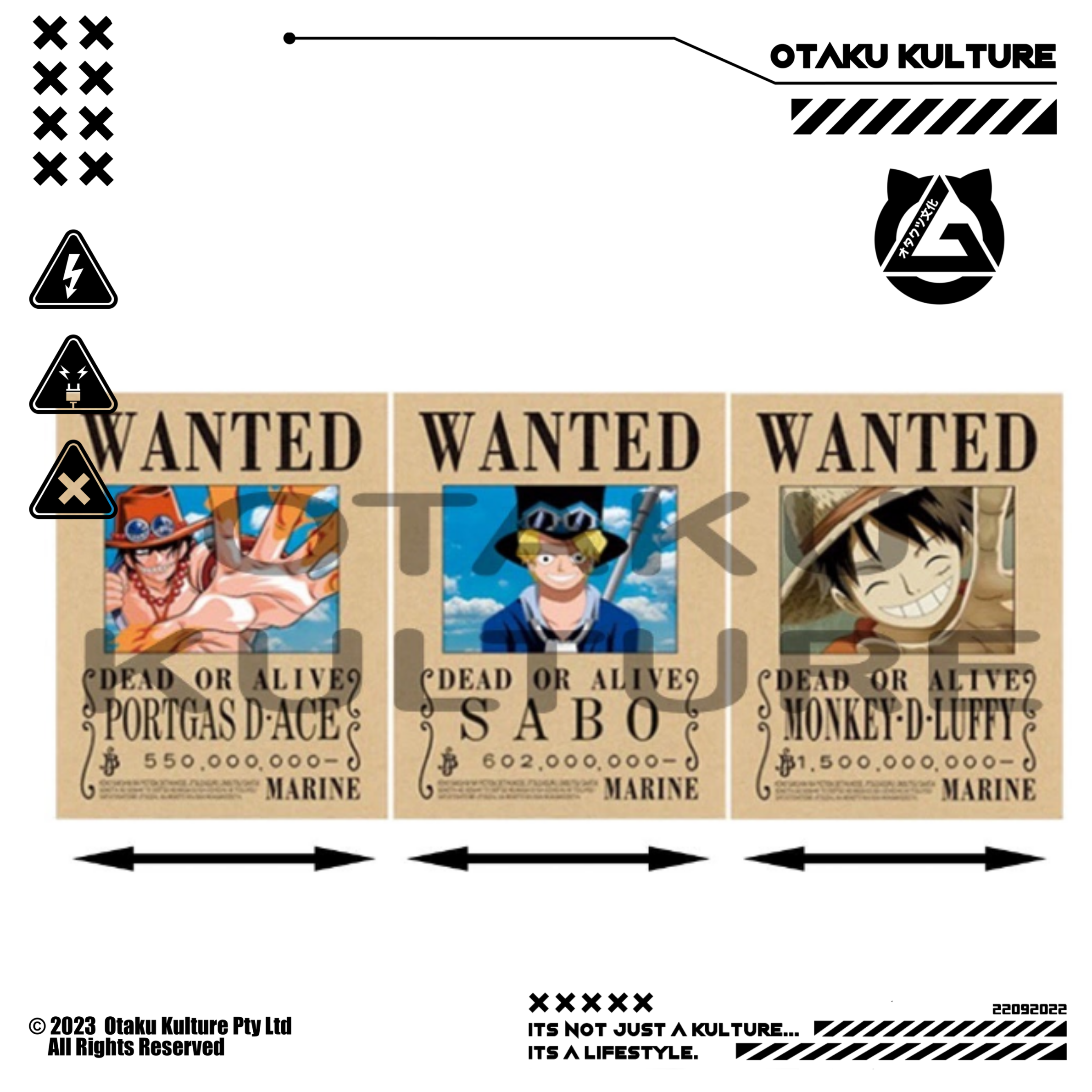 WANTED SABO/LUFFY/ACE 3D MOTION POSTER