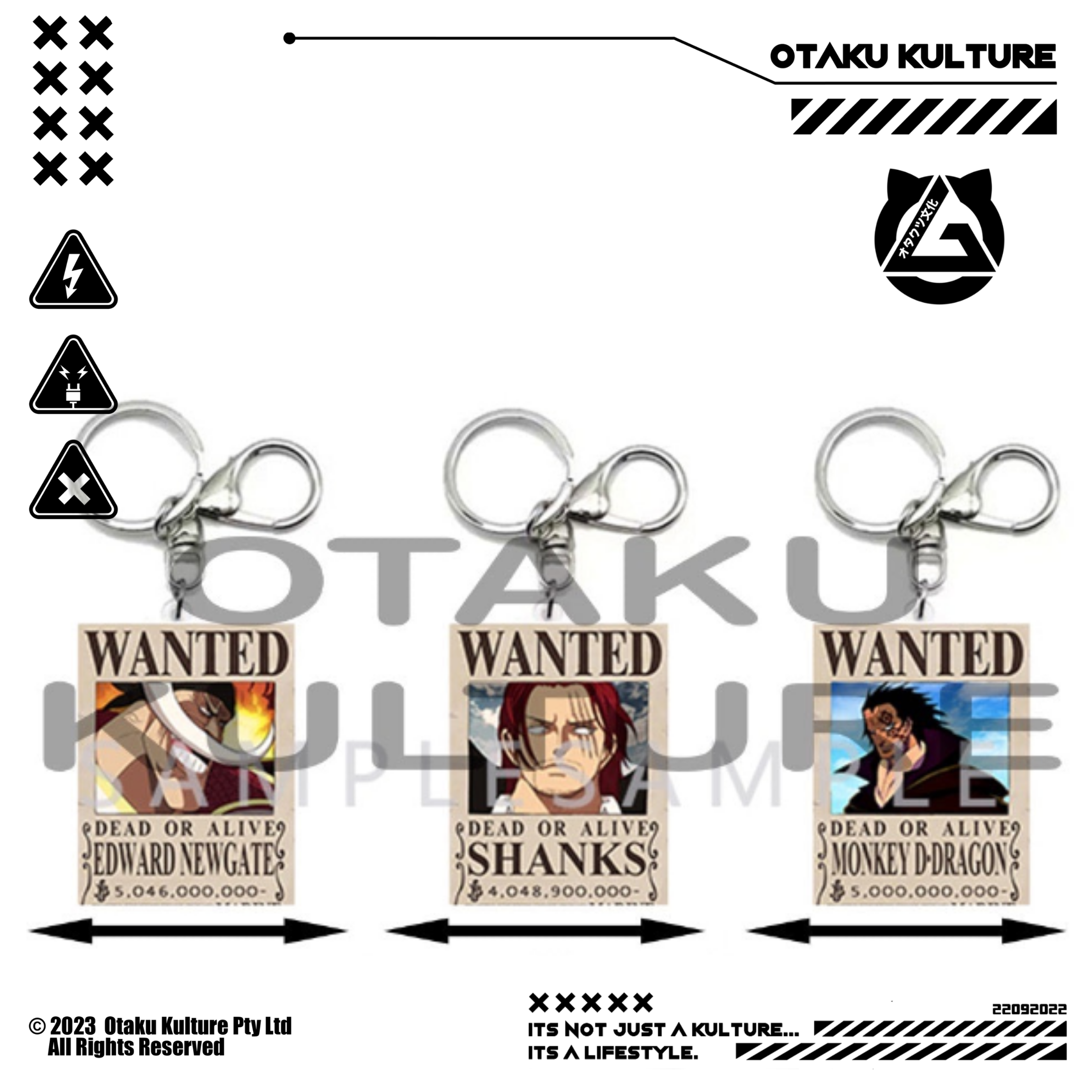 WANTED SHANKS/NEWGATE/DRAGON 3D MOTION KEYCHAIN
