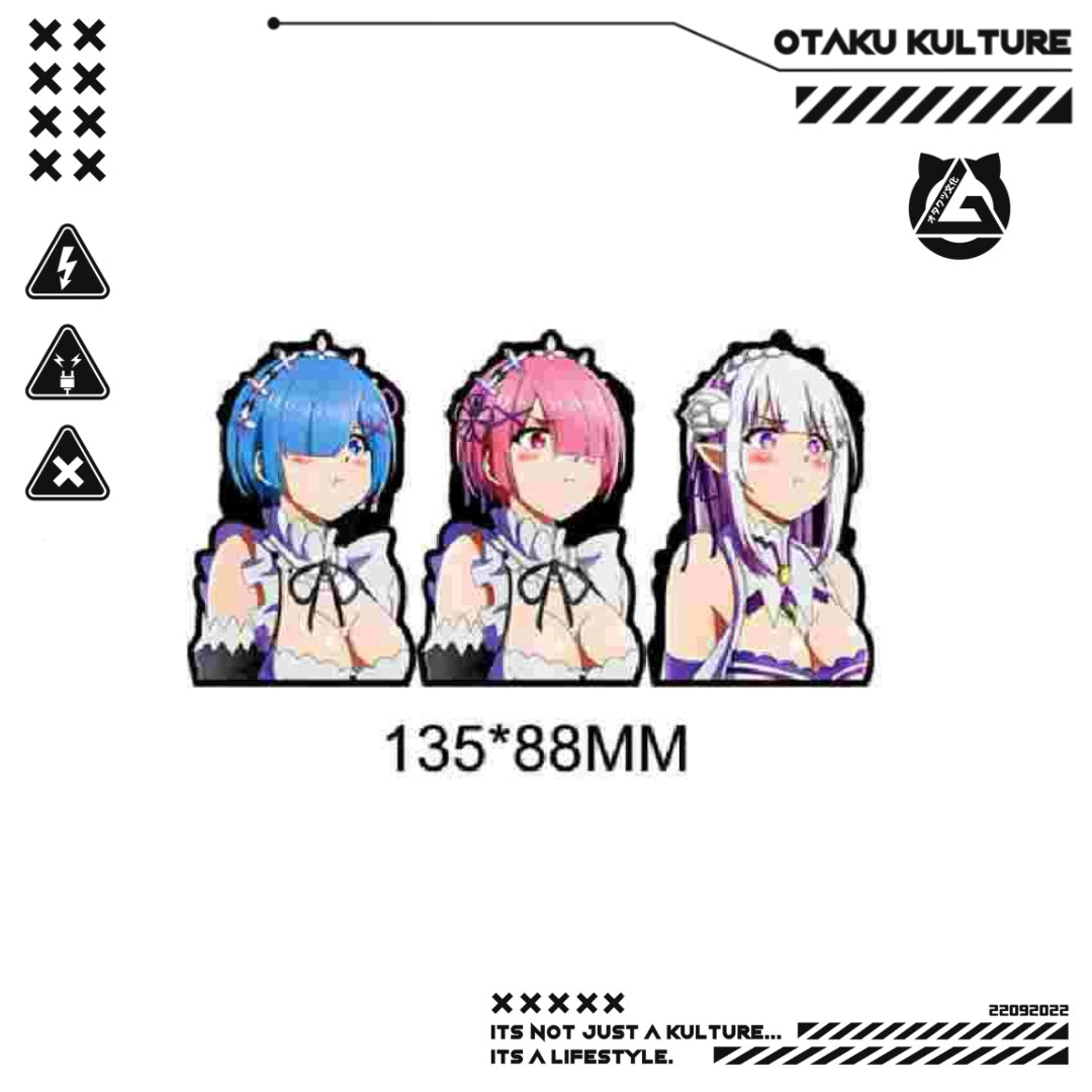 REM/RAM 3D MAGNETS