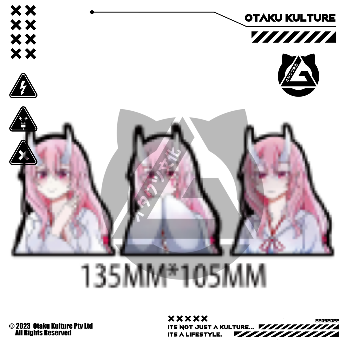 SHUNA 3D MOTION STICKER