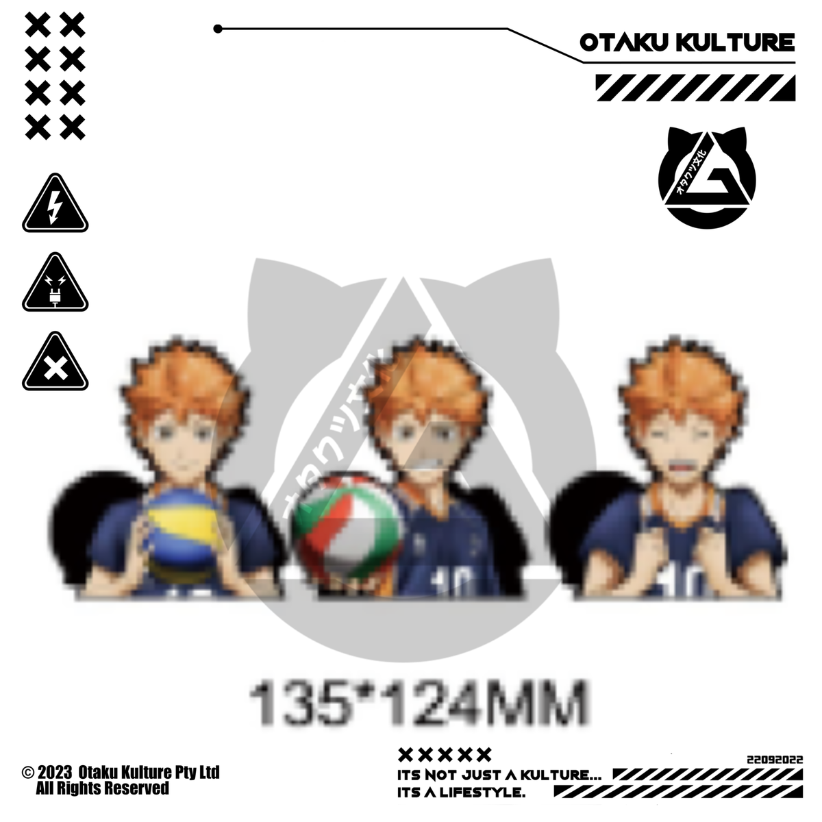 HINATA SHOTO 3D MOTION STICKER